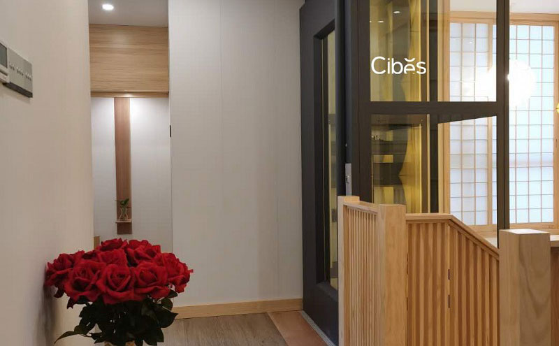 Cibes五层楼家用电梯