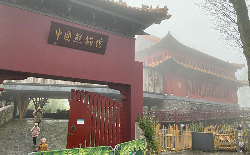 搭乘新盛娱乐电梯 遇见可爱的它们——旅居大熊猫