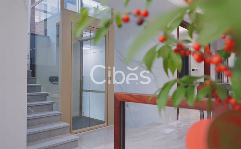 瑞典新盛娱乐Cibes家用电梯--广州南沙别墅别墅案例
