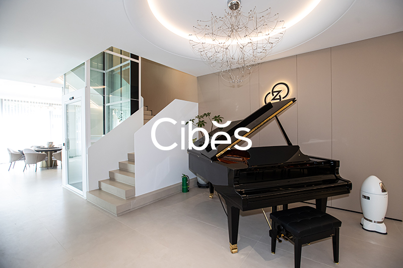 Cibes新盛娱乐浙江台州家用电梯案例