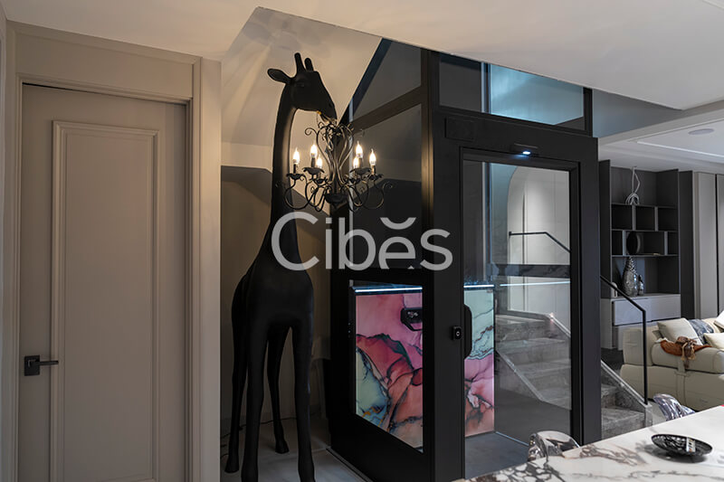 Cibes新盛娱乐昆明别墅电梯案例