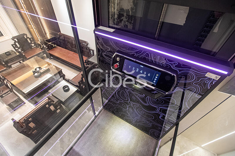 Cibes新盛娱乐家用电梯福建漳州案例